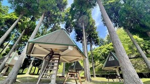 Khuôn viên nơi lưu trú