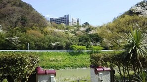 Miscellaneous - Villa Kyonanso (Kyonan)