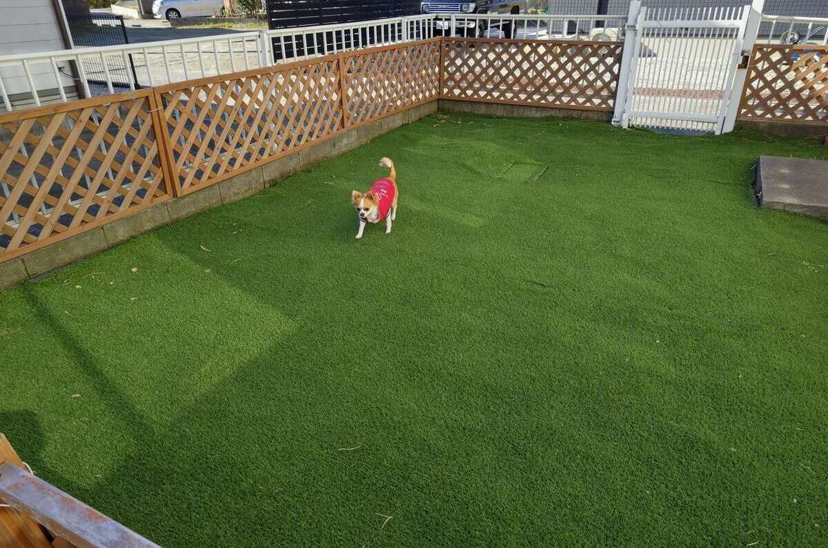 บริเวณที่พัก