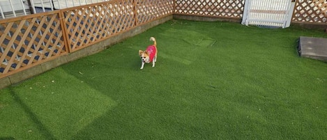 Khuôn viên nơi lưu trú