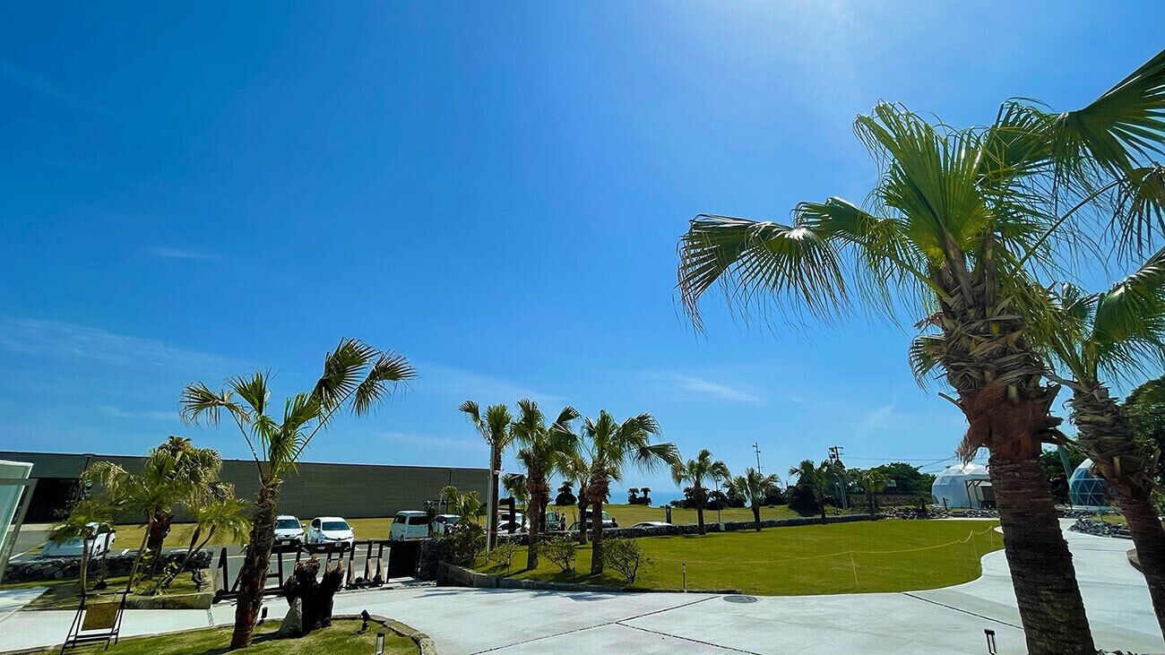 المنطقة المحيطة بالمنشأة