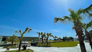 Property grounds - Toiglam Solasita (Kushima)