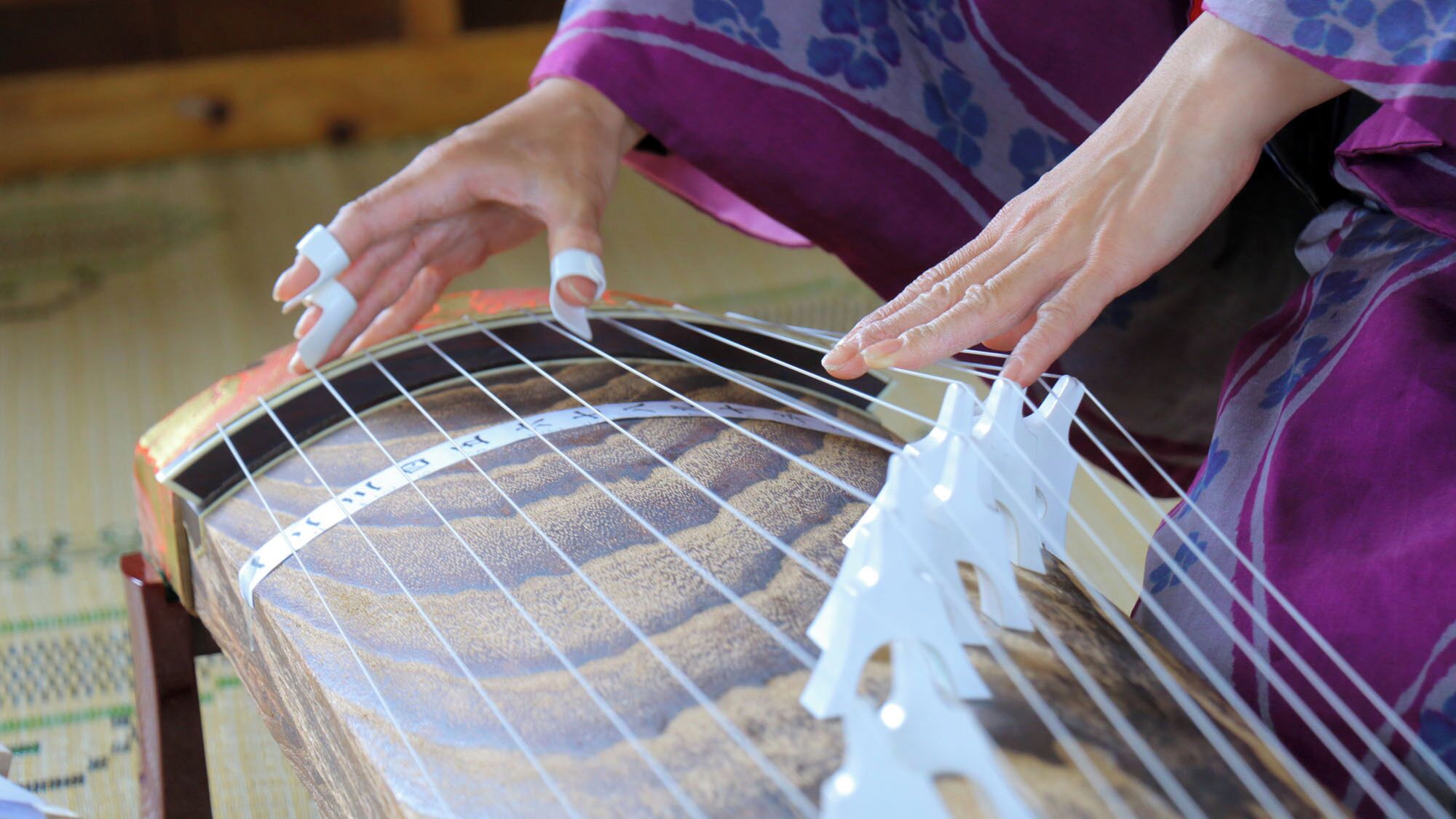A person playing a stringed musical instrument.