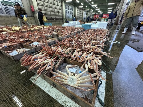 Ocean View Minshuku Otomatsu