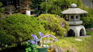 Ein traditioneller japanischer Garten mit verschiedenen Pflanzen, einem Stein Laternen und einem Bonsai-Baum.