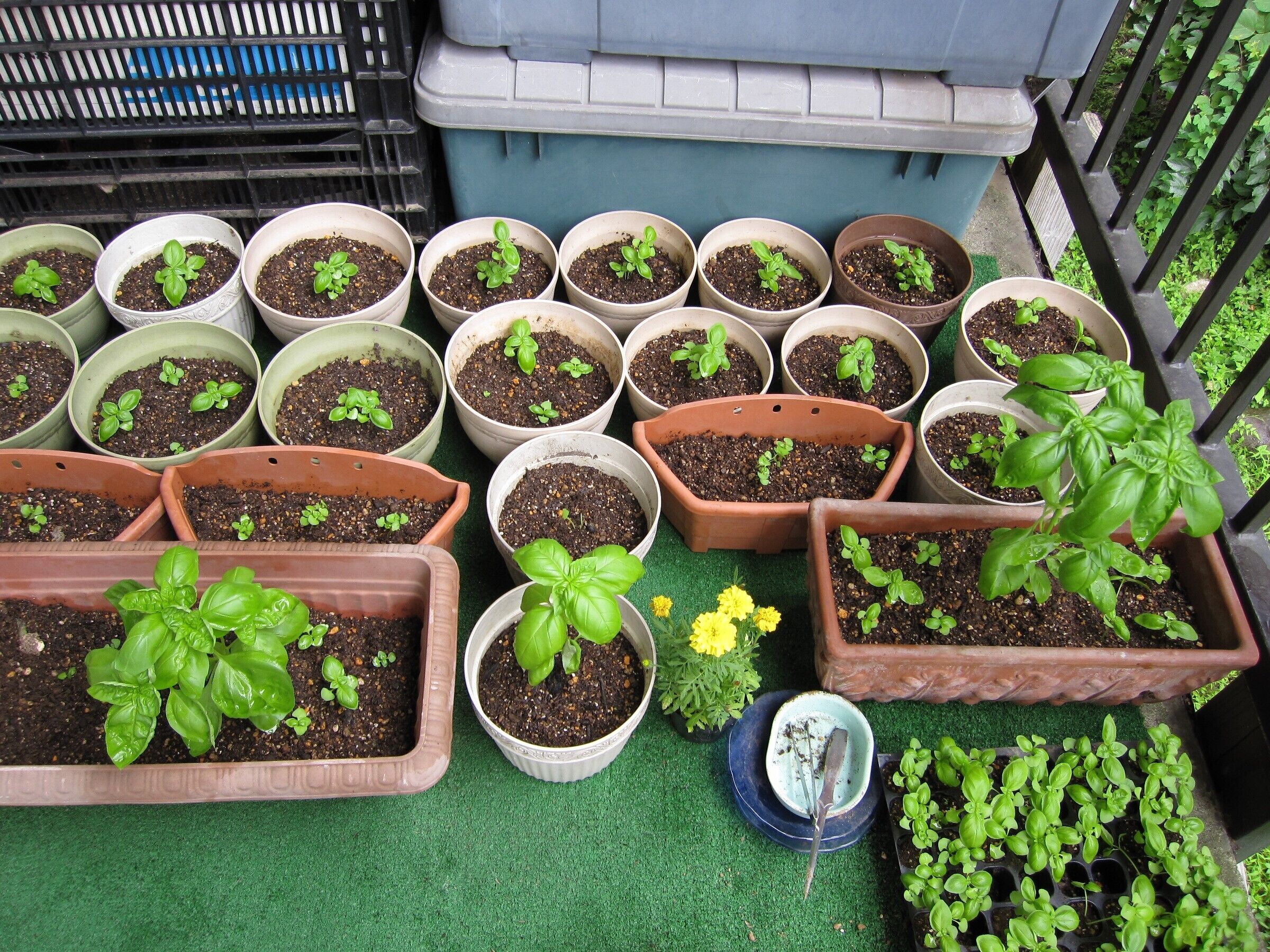 Áreas de la propiedad