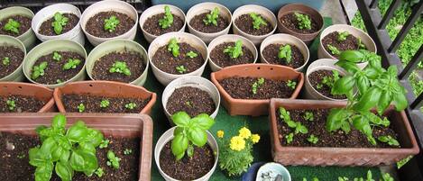 Áreas de la propiedad