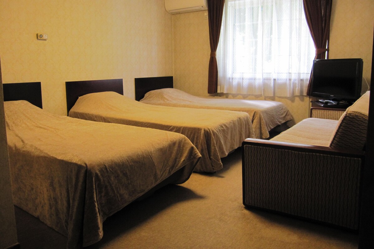 A hotel room with two single beds, a television, and a sofa.