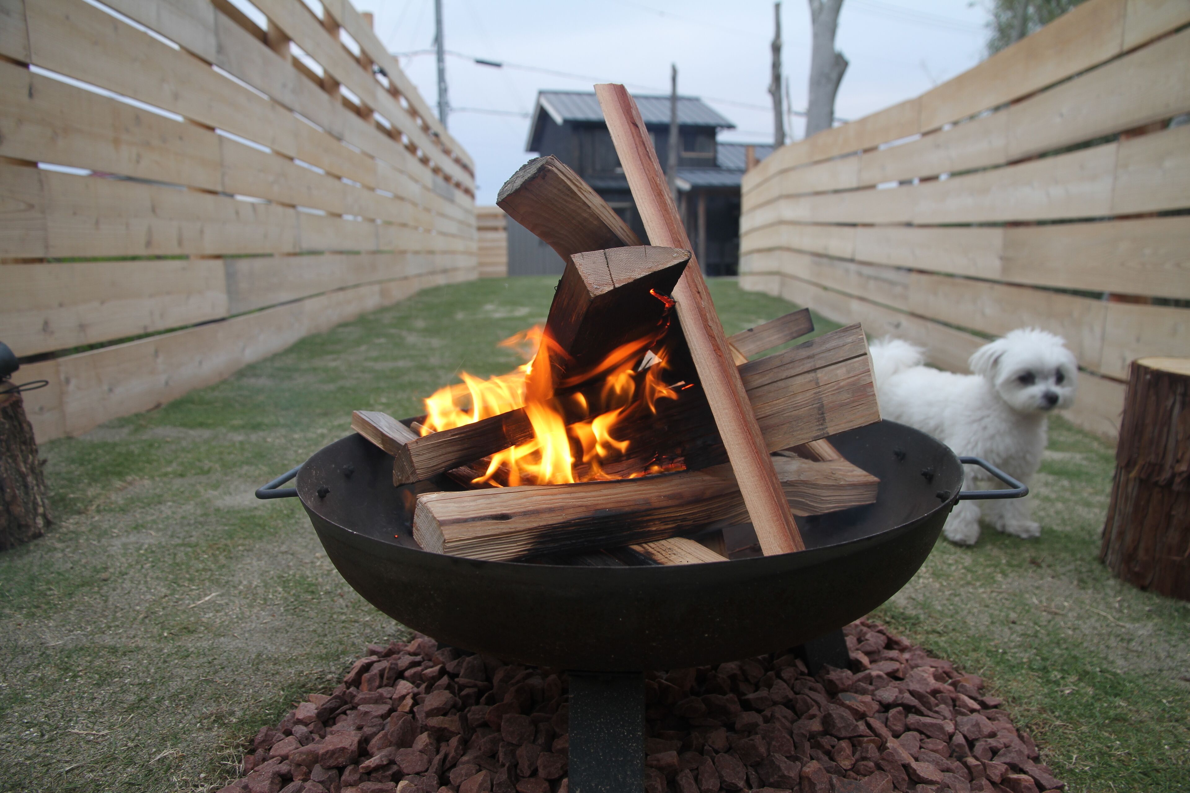 A fire pit with logs in a metal bowl, surrounded by gravel, with a wooden fence and a dog in the background.