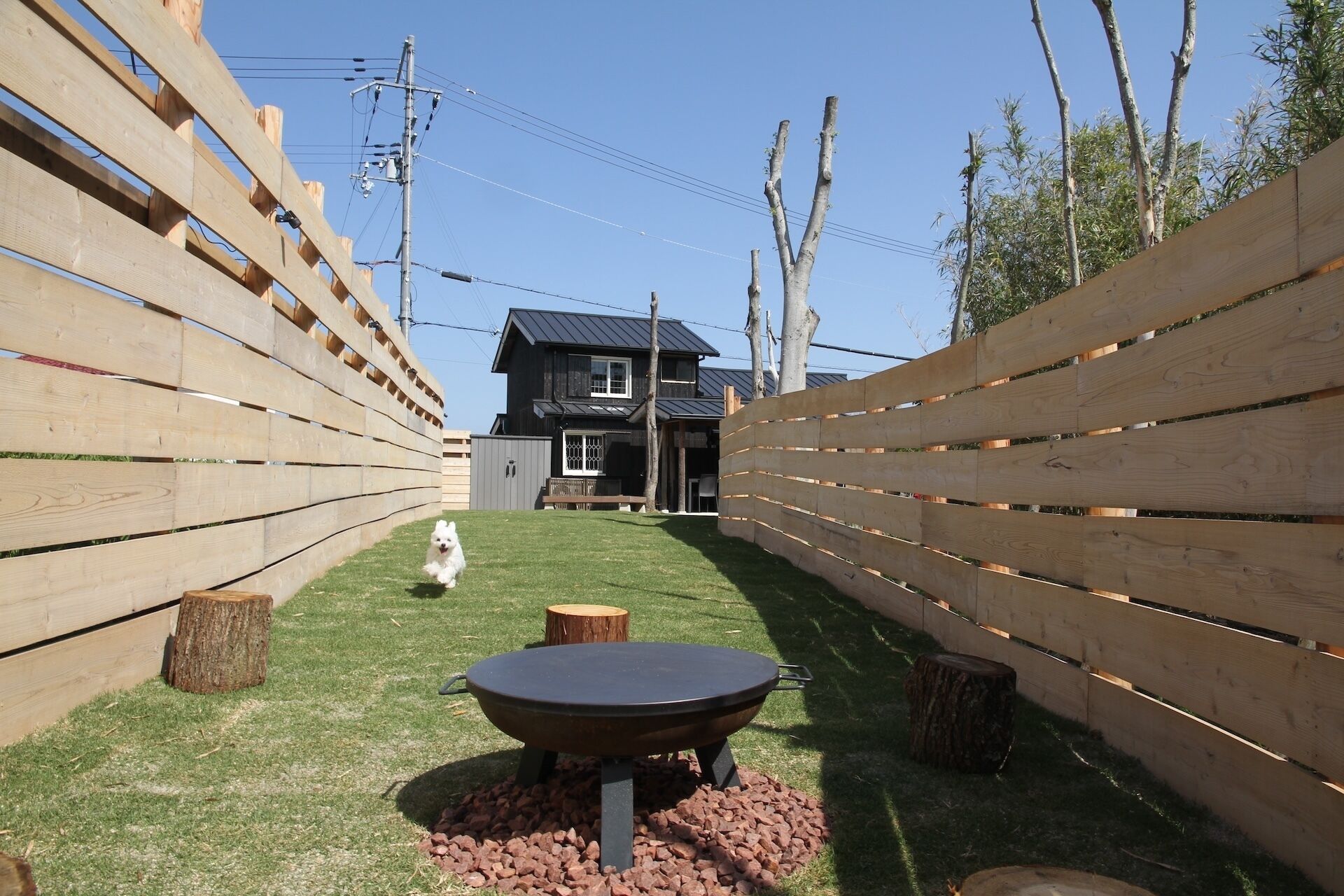 A fenced backyard with a barbecue pit, a small dog, and a house in the background.