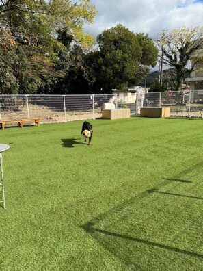 Property grounds - Animal Resort Hareruya (Shimonoseki)