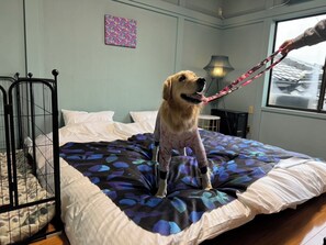 Room - Animal Resort Hareruya (Shimonoseki)