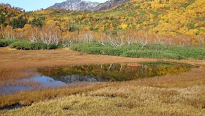 Un paysage naturel comprenant une étendue d’eau, des zones herbeuses et une montagne boisée en arrière-plan.