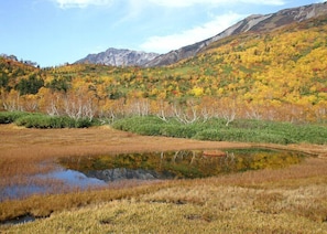 Un paysage naturel avec une étendue d’eau, des arbres aux couleurs automnales et une montagne en arrière-plan.