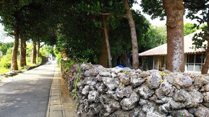 Property grounds - Minshuku Irayoi (Ishigaki)