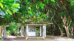 Property grounds - Minshuku Irayoi (Ishigaki)
