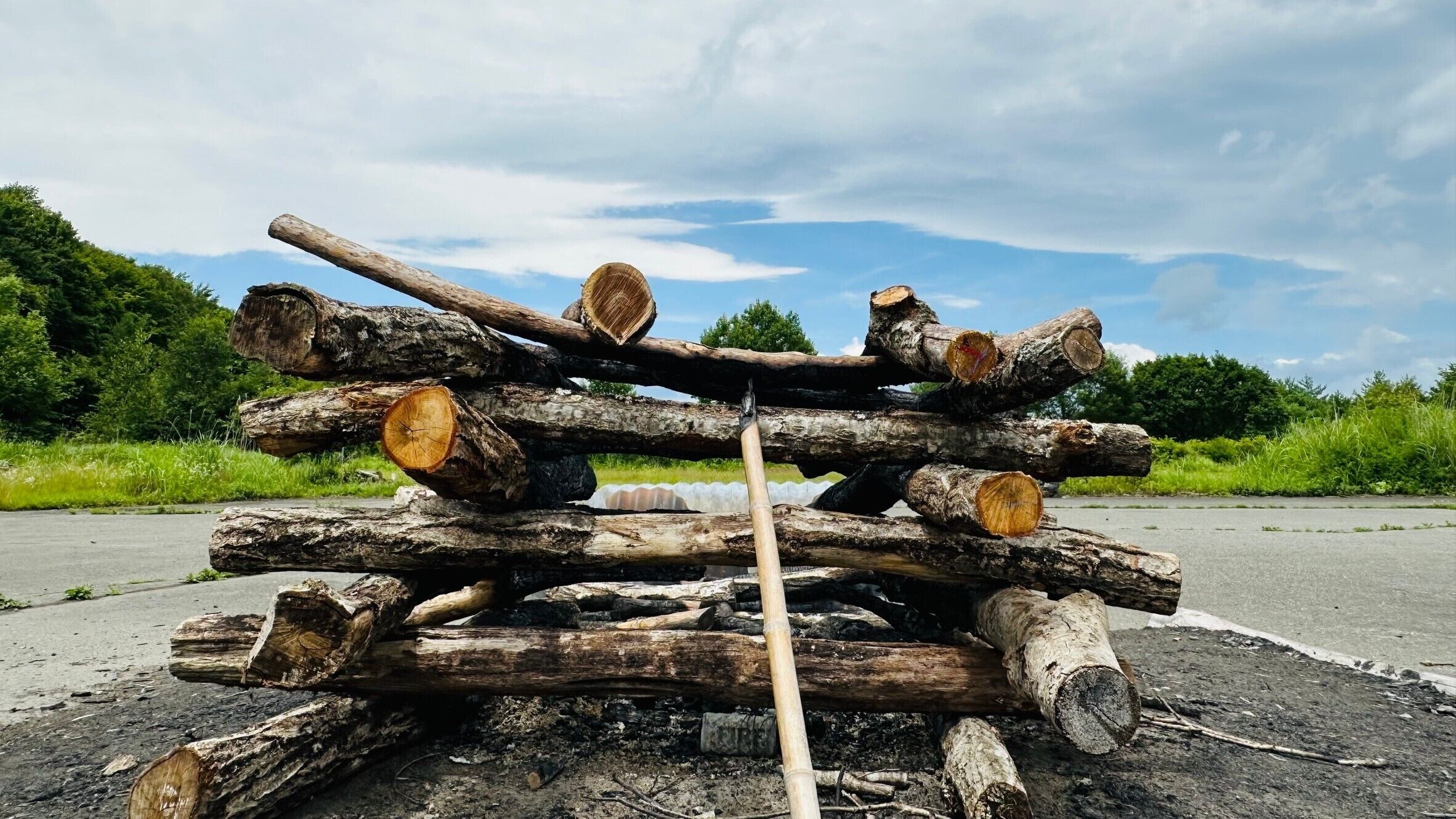 A stack of logs with a stick in the center, set against a backdrop of a road and greenery.