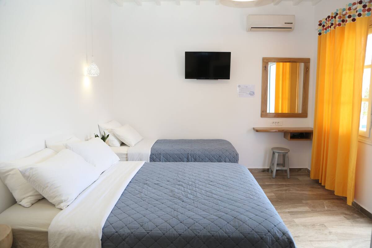 A bedroom with two beds, a TV, a desk, and a mirror.