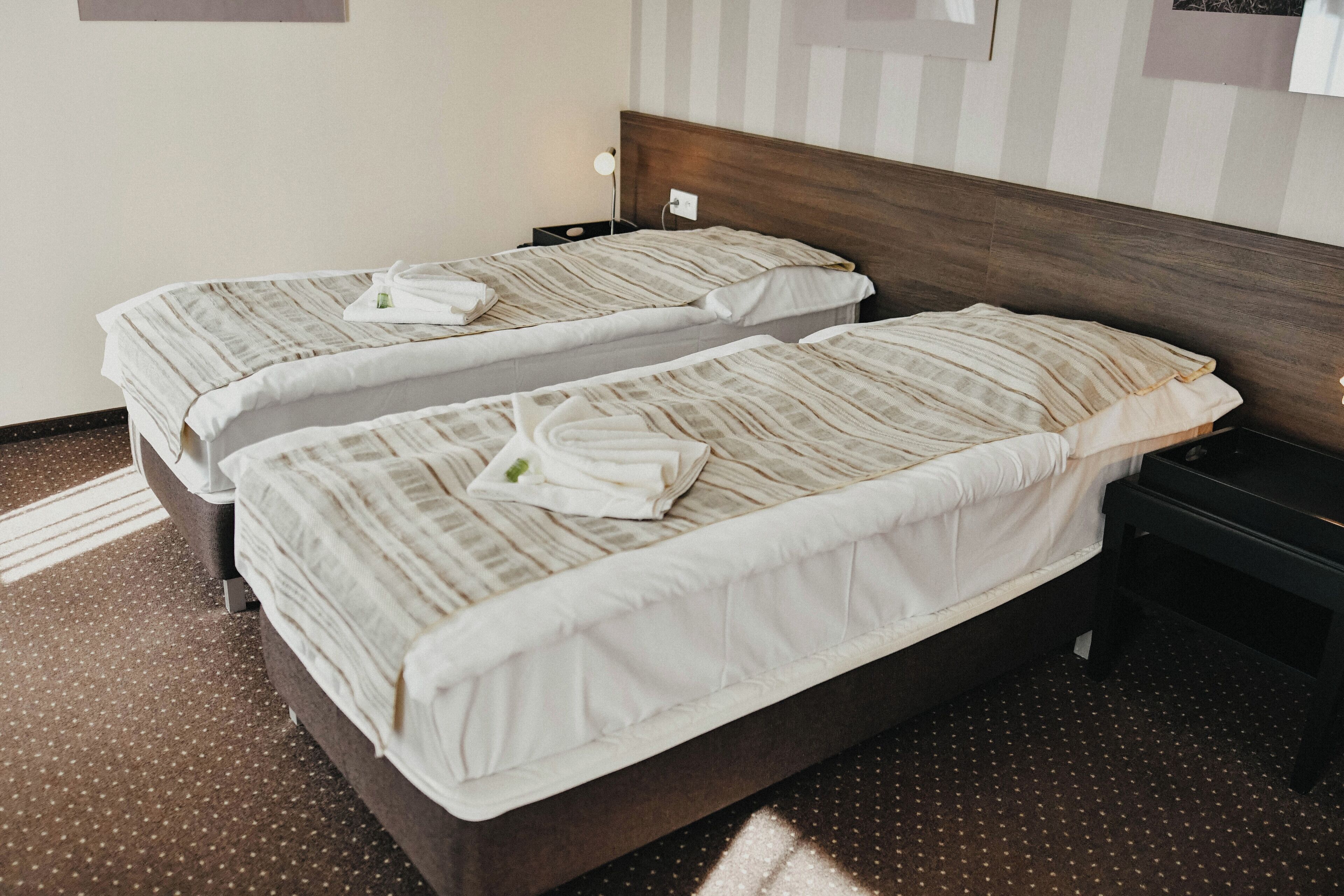 Habitación clásica con 1 cama matrimonial o 2 individuales, vista al parque | Escritorio, espacio para trabajar con laptop y wifi gratis 