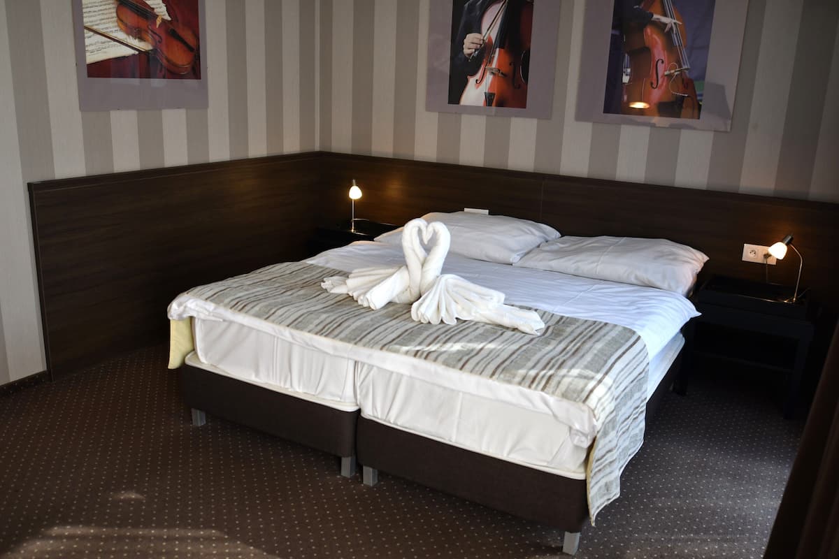 Habitación Confort con 1 cama matrimonial o 2 individuales | Escritorio, espacio para trabajar con laptop y wifi gratis