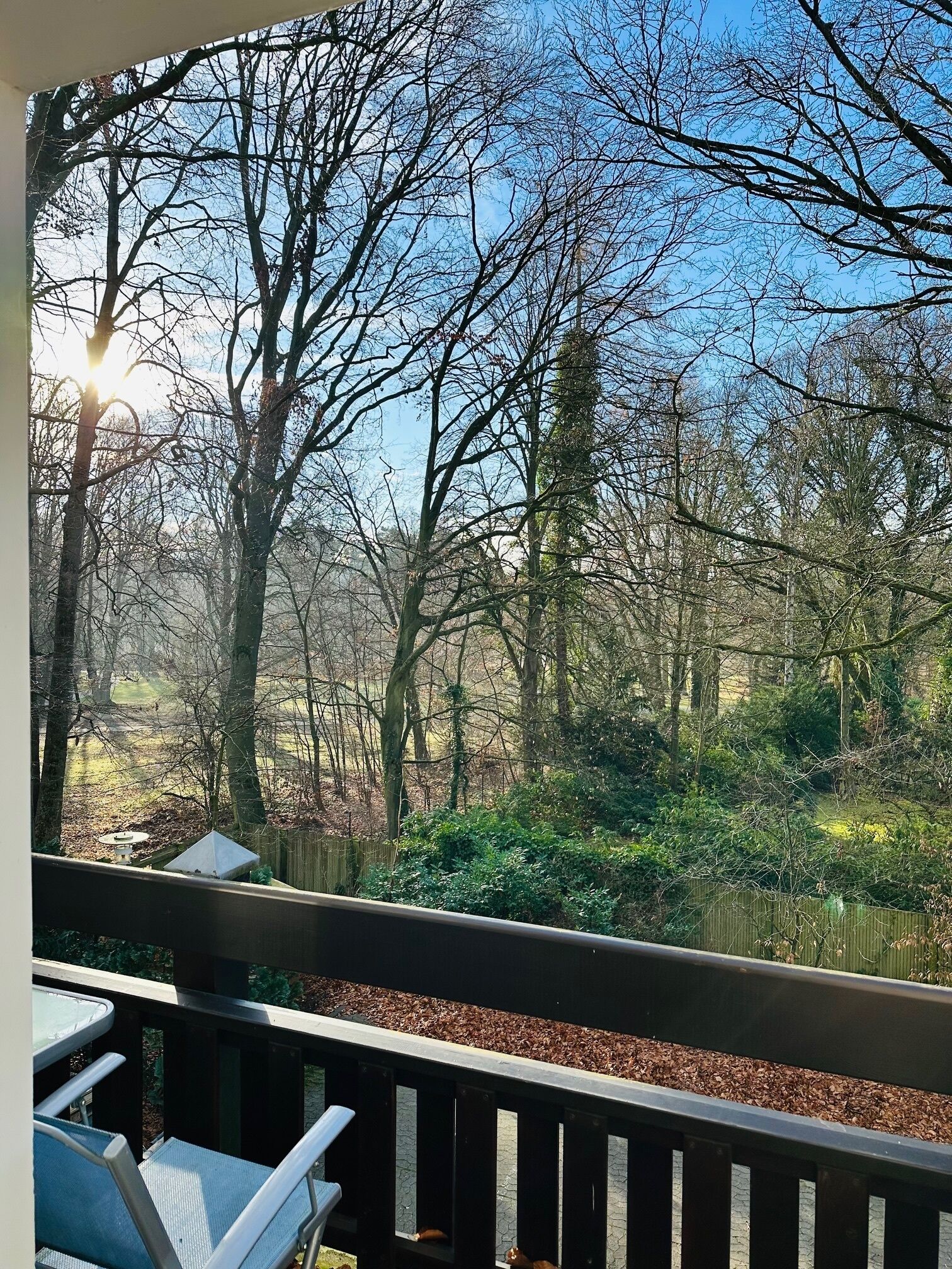 Comfort-Apartment, 1 King-Bett und Schlafsofa, Balkon, Parkblick | Unterkunftsgelände