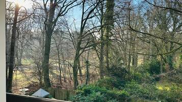 Comfort-Apartment, 1 King-Bett und Schlafsofa, Balkon, Parkblick | Unterkunftsgelände