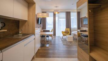 Apartment, 1 Schlafzimmer, barrierefrei, Raucher | Innenbereich