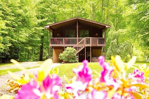 Exterior - Smoky Mountain Hideaway w/ Hot Tub | Firepit | Mountain Views (Whittier)