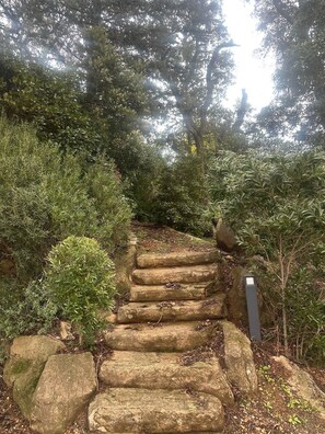 Property grounds - SUITE TROPEZ: An elegant, soothing suite with heated pool. (La Croix-Valmer)