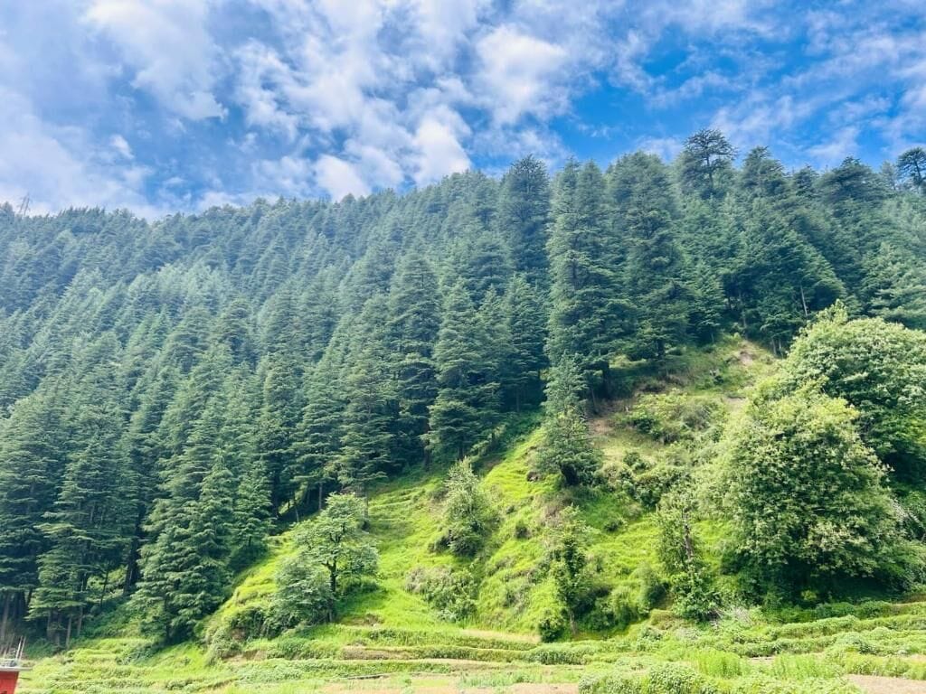 Deluxe Twin Room, Balcony, Mountain View | Miscellaneous