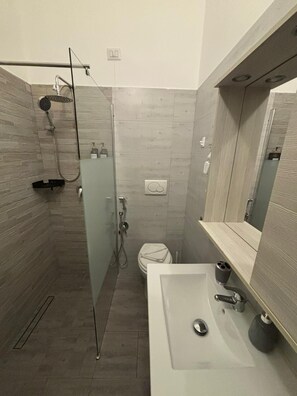 Deluxe Room | Bathroom | Shower, hair dryer, towels, soap