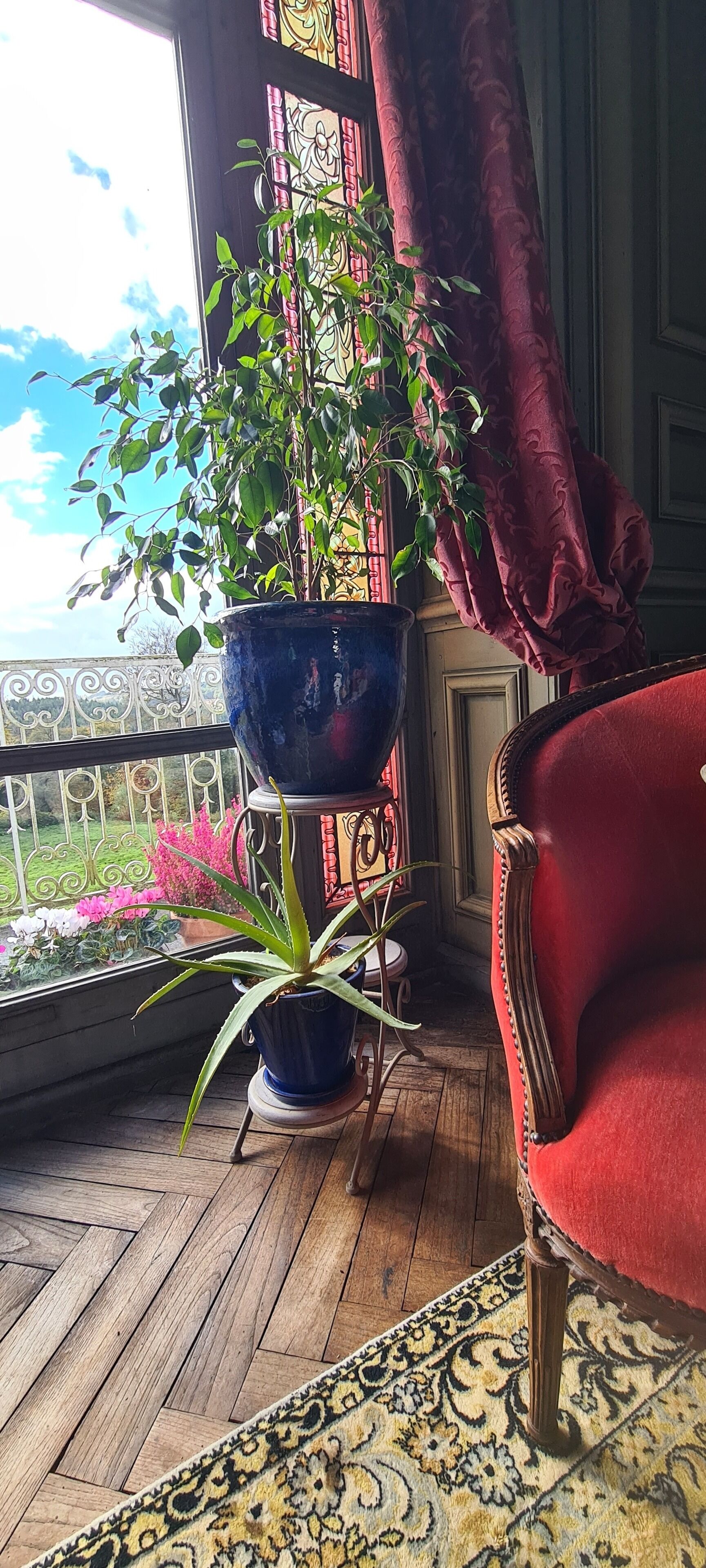 Une pièce avec un fauteuil rouge, une plante en pot et une vue sur un jardin, visible à travers une fenêtre ornée d’un rideau décoratif.