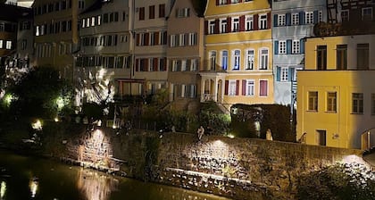 City-Adjacent Guest Room in Esi’s Penthouse in Tübingen