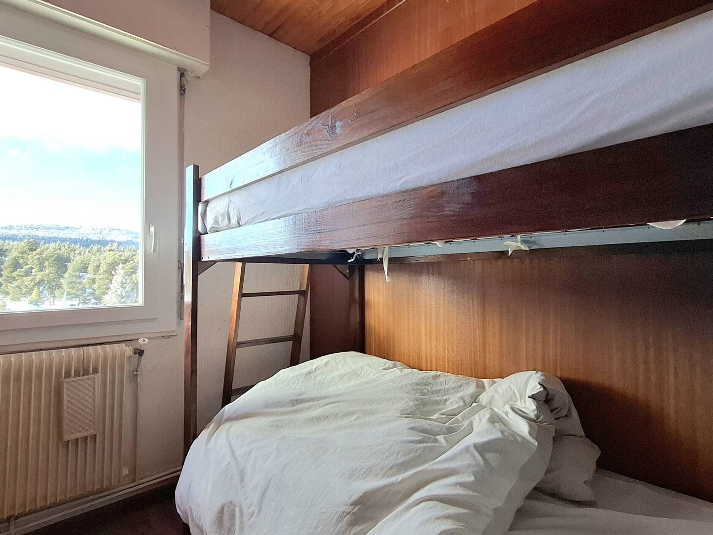 Ein Etagenbett mit Holzvorzelt und Blick auf einen Wald.