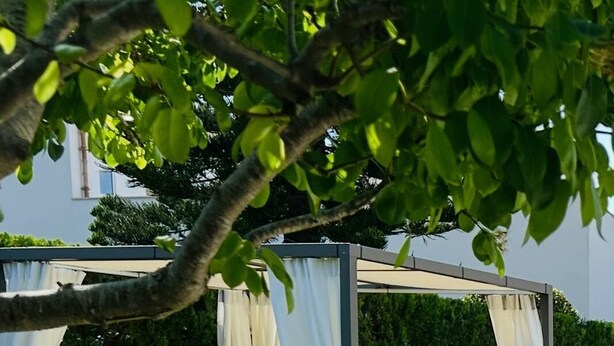 A covered outdoor seating area with a cushioned bench and a canopy. - Modern villa with private garden and pool. Ideal for families or small groups. (Las Palmeras)