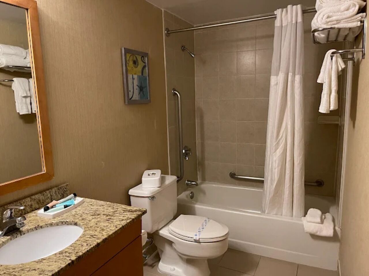 Hair dryer, towels, soap, toilet paper