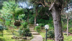 A stone pathway leading through a lush garden with various plants and trees. - Stunning Panoramic Villa (Punta Ala)