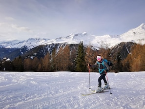 Lumi- ja hiihtourheilulajit