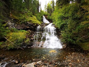 Une cascade située dans une zone boisée, avec de l’eau claire et un terrain rocheux.