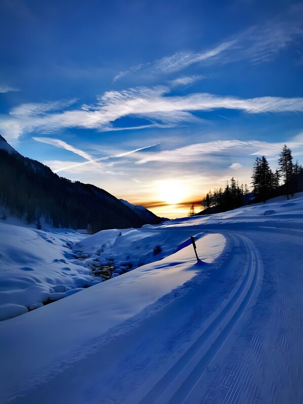 Lumi- ja hiihtourheilulajit