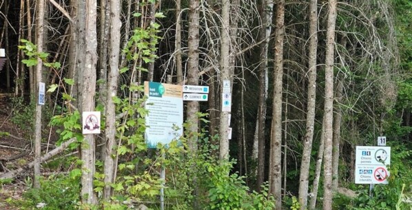 Zona boscosa con varios carteles, incluyendo uno para un espacio de meditación y otro que señala un camino despejado.