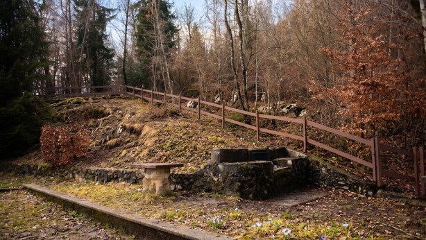 A forested area with a stone bench, a wooden fence, and a stone structure. - Casa Eleonora (Zogno)