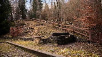 BBQ/picnic area