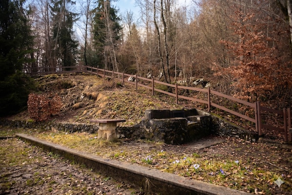 BBQ/picnic area - Casa Eleonora (Zogno)