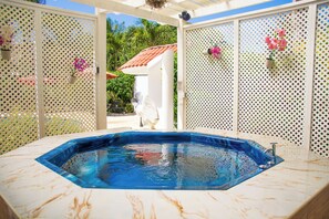 Terrace/patio - Massive 9BR Estate, 2 Pools, Jacuzzi, Free Pickup (Sosúa)