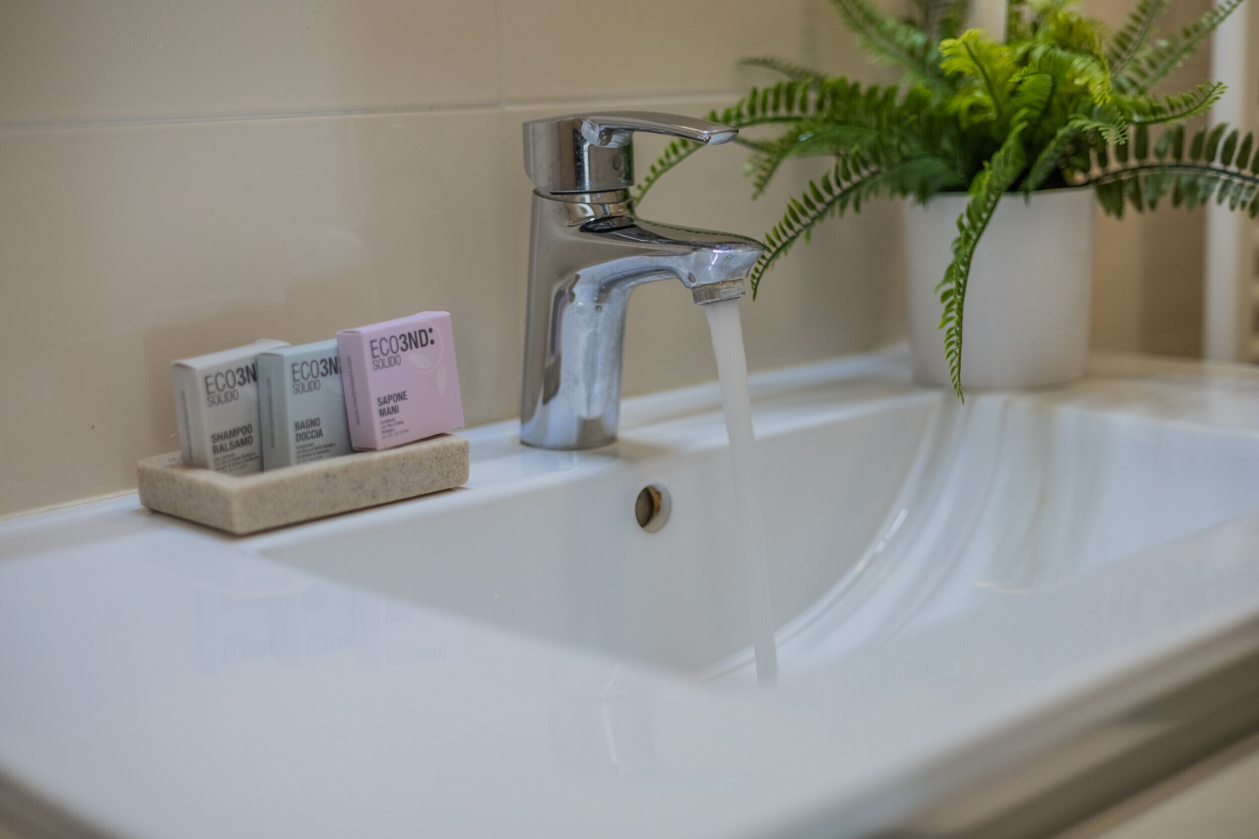 A bathroom sink with a faucet, a potted plant, and three bottles of shampoo.