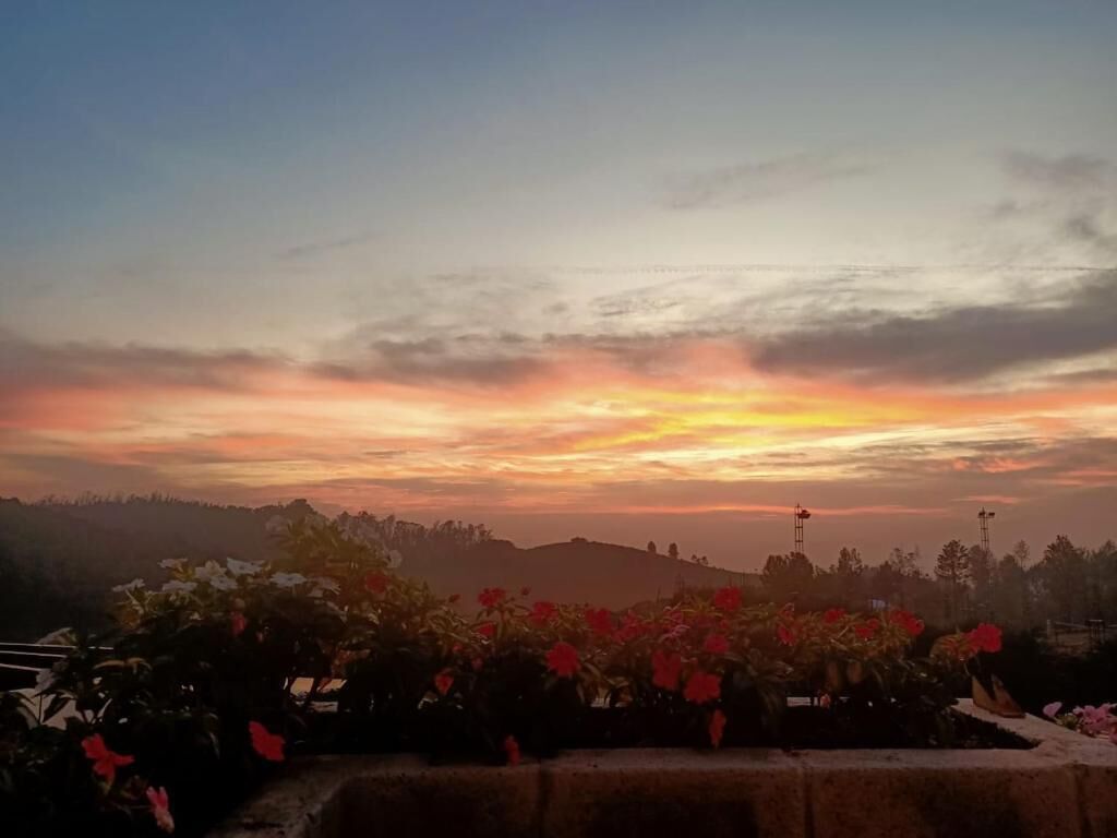 Une vue au coucher du soleil, avec un ciel dégagé, une colline lointaine et un parterre de fleurs au premier plan.