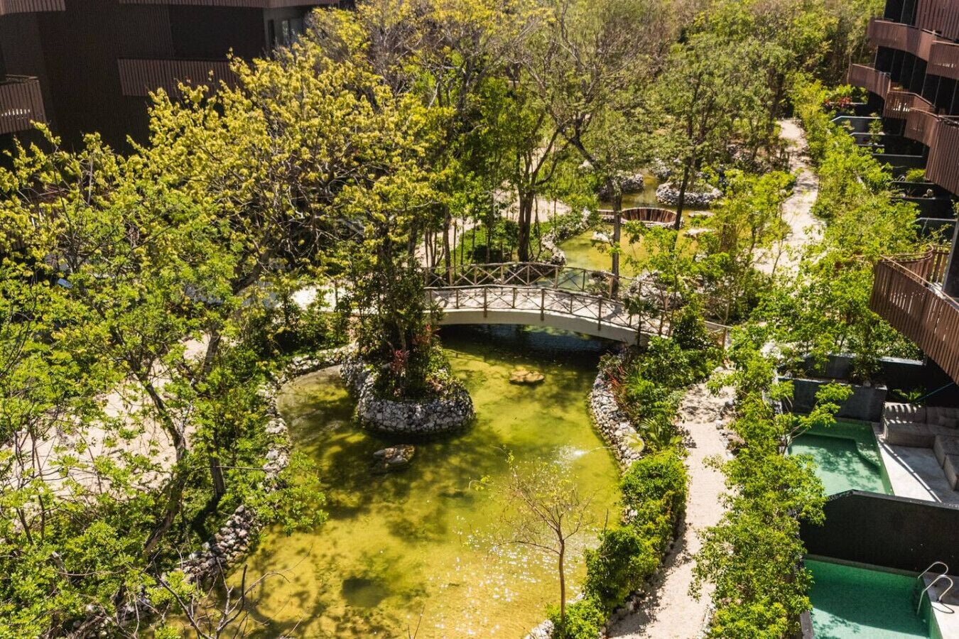 Un jardin aménagé avec un pont, un étang et un sentier.