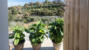 Une porte en bois donnant sur un balcon où sont disposées trois plantes en pot.