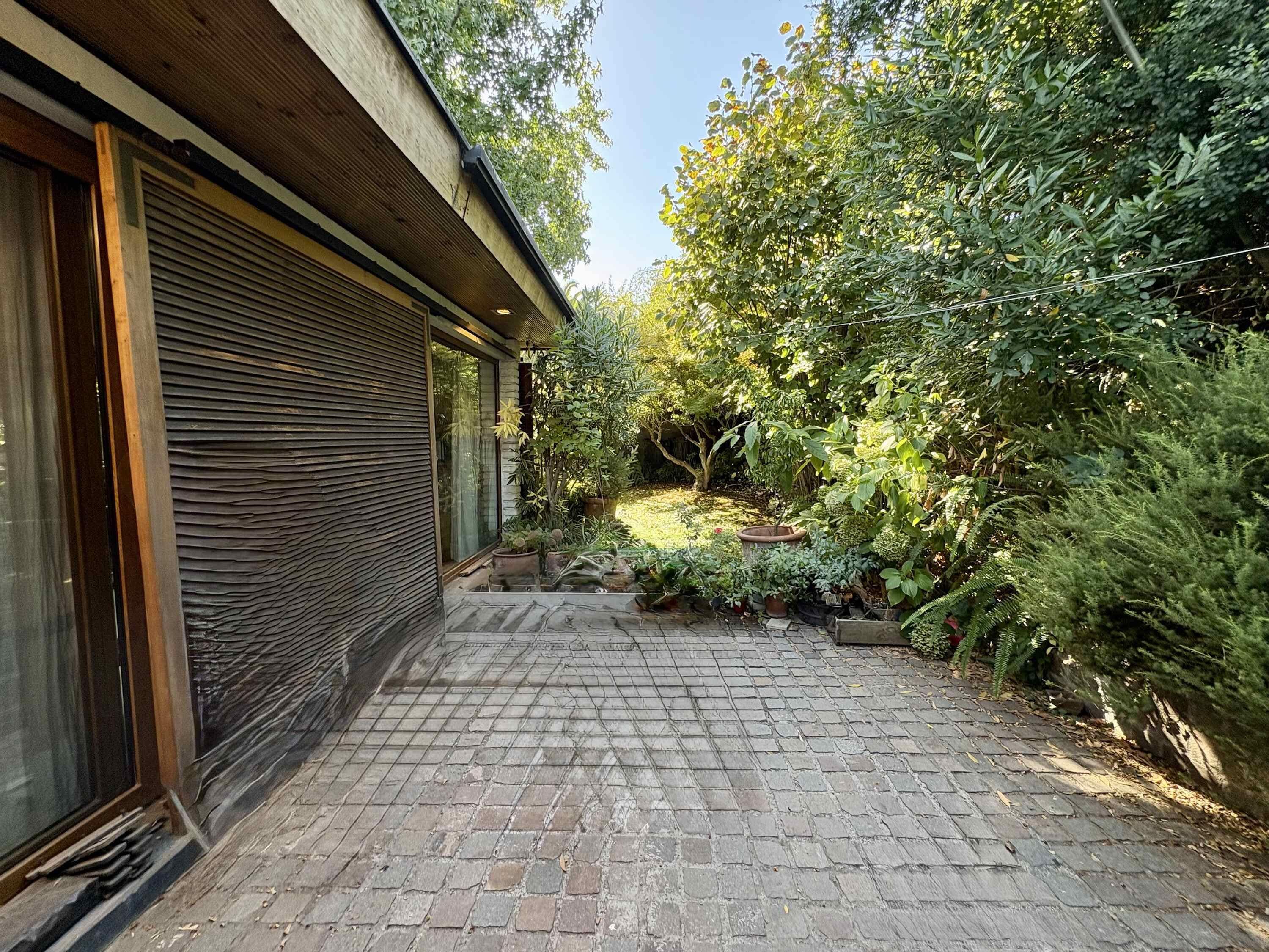 A paved pathway leading to a building with a closed shutter, surrounded by lush greenery and various potted plants.